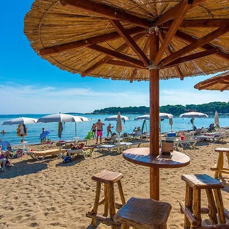 House Magnolia Willa Medulin